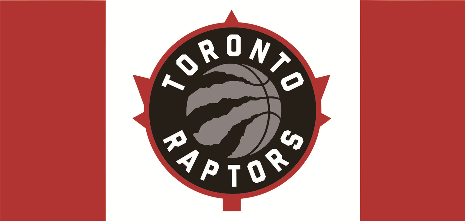 Toronto Raptors Flags fabric transfer